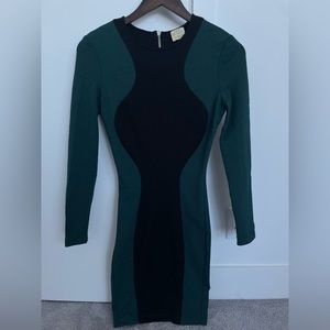 Torn by Ronny Kobo body con dress